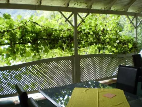 هاستل Pension Casa Alba