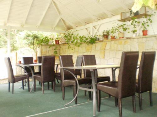 旅馆 Pension Casa Alba