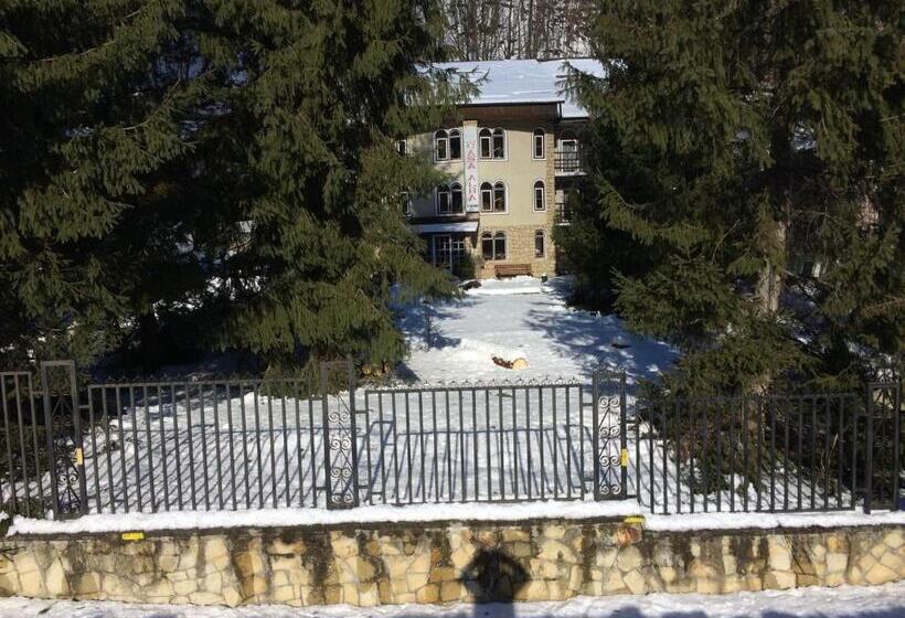 旅馆 Pension Casa Alba