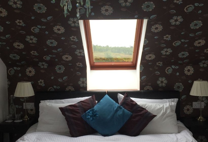 Hotelli Abalone Guesthouse Bed And Breakfast