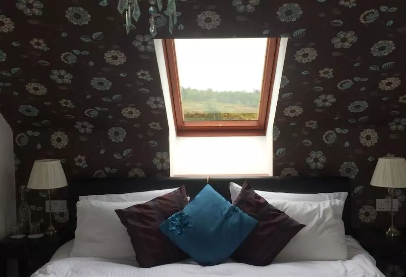 ホテル Abalone Guesthouse Bed And Breakfast