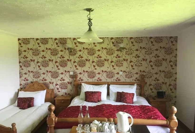 ホテル Abalone Guesthouse Bed And Breakfast