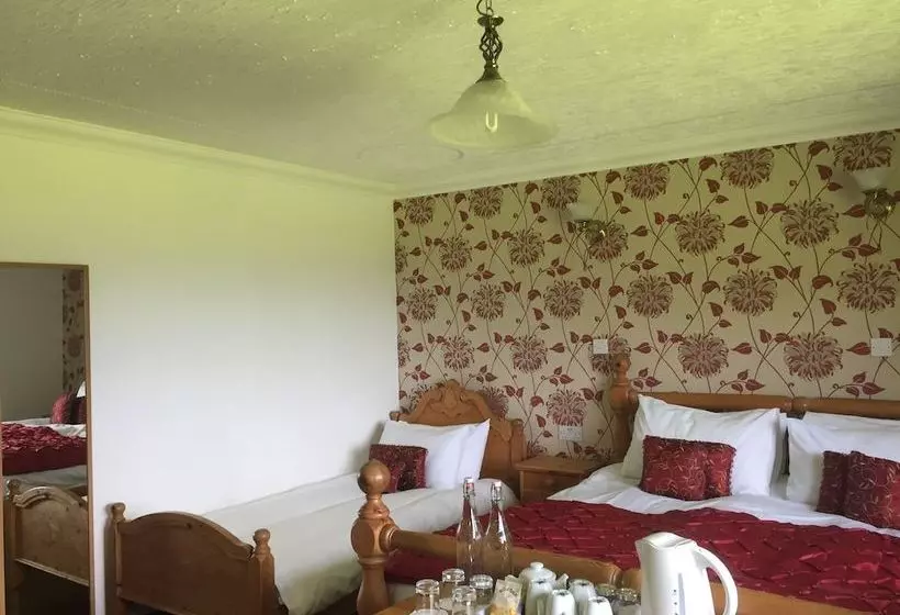 ホテル Abalone Guesthouse Bed And Breakfast