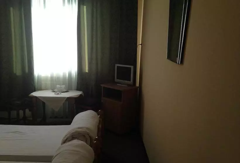 ホテル Decebal Bistrita