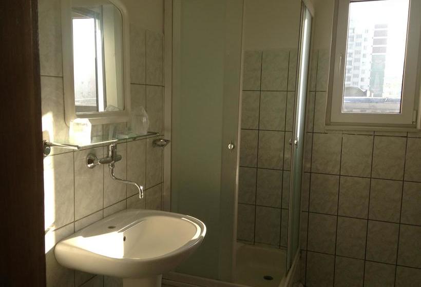 هتل Decebal Bistrita