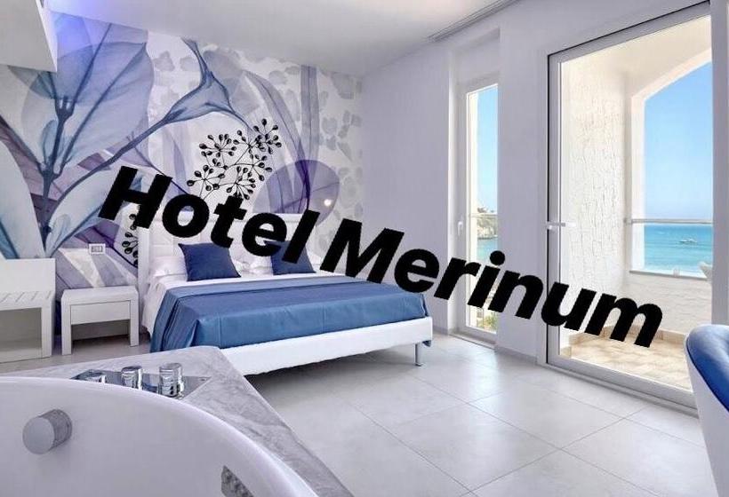 בית מלון כפרי Merinum