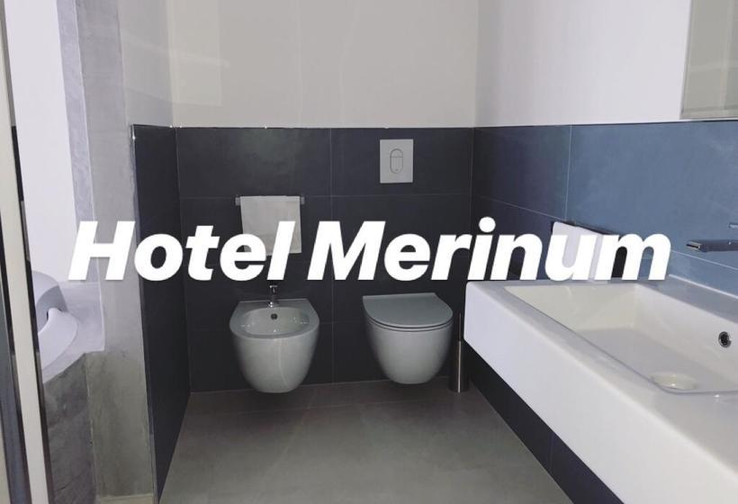 בית מלון כפרי Merinum