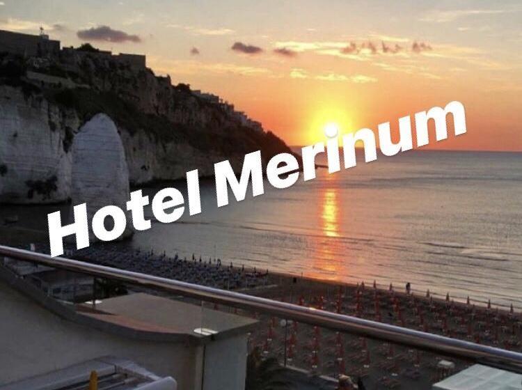 בית מלון כפרי Merinum