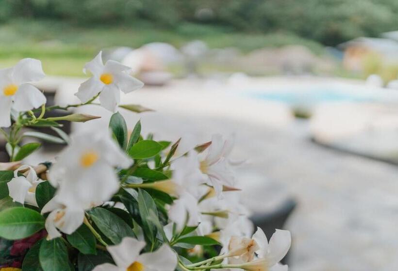 ホテル Pension Casamia