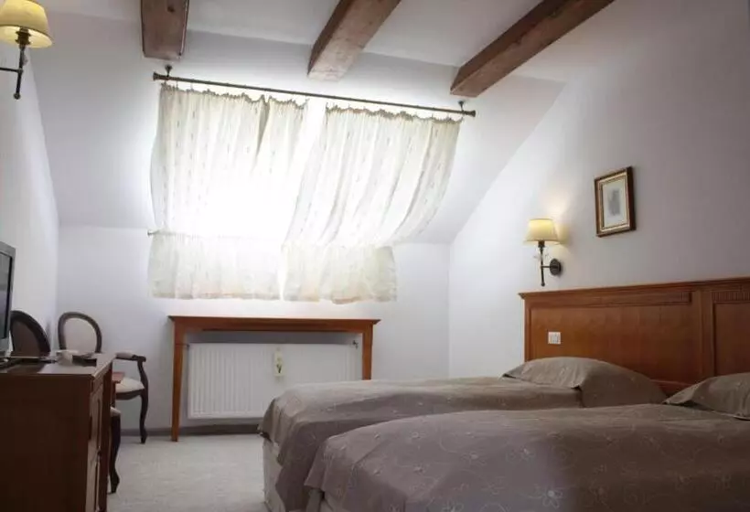 ホテル Pensiunea Casa Nostalgia