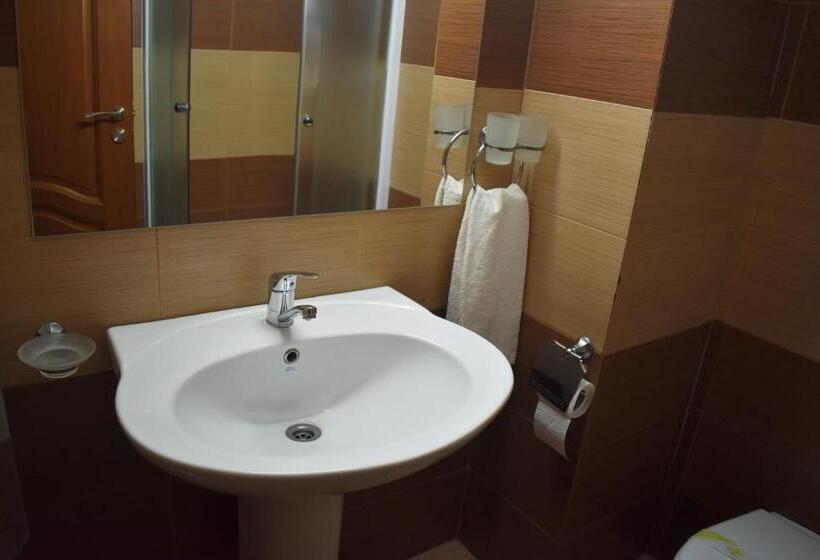 هتل Premier Botosani