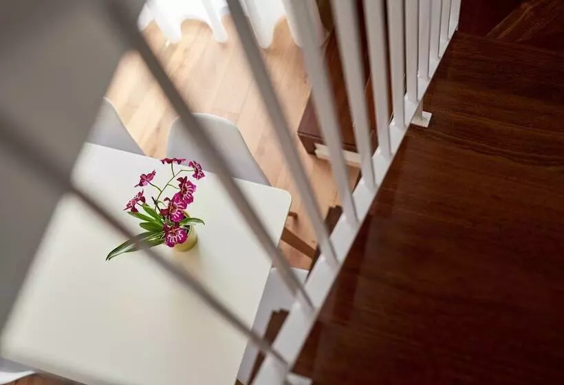 Apartamentos Ponte Nova