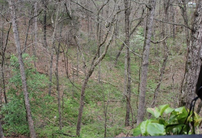 هتل Brydan Suites