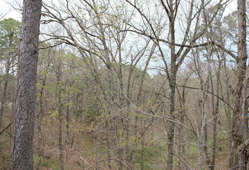 هتل Brydan Suites