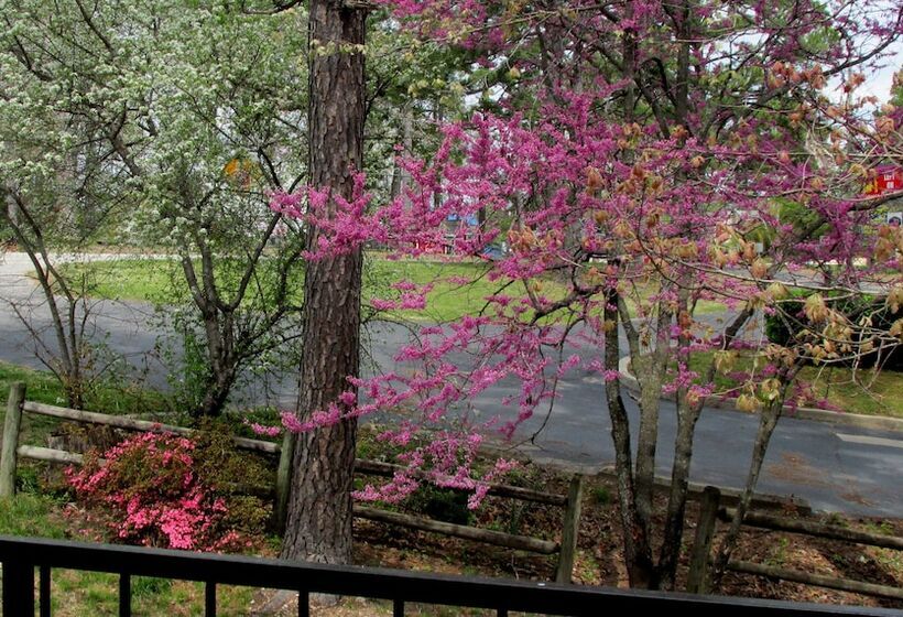 هتل Brydan Suites