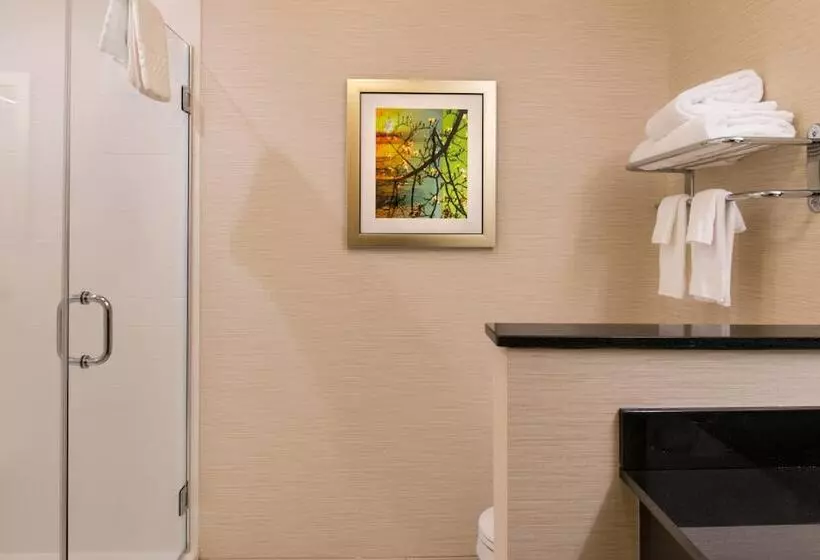 هتل Fairfield Inn & Suites By Marriott Utica