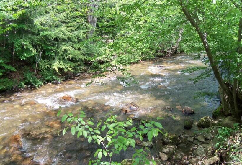 فندق Four Seasons Inn