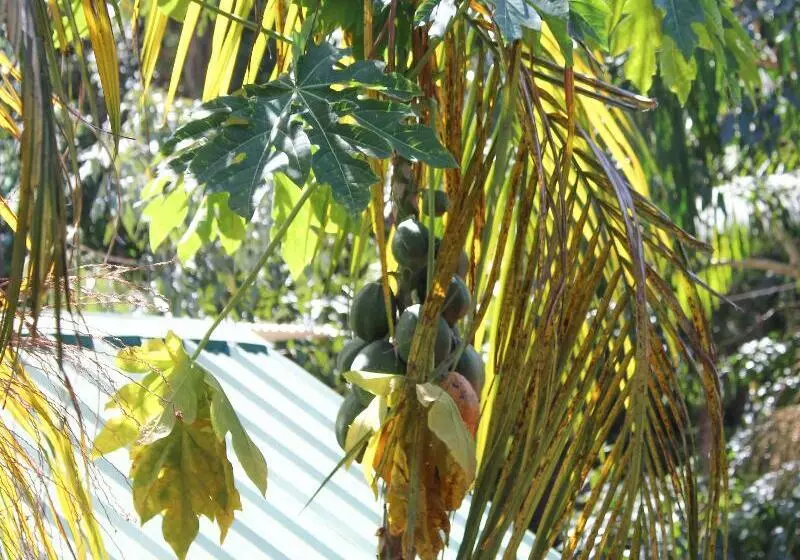 هتل Palo Rosa Lodge