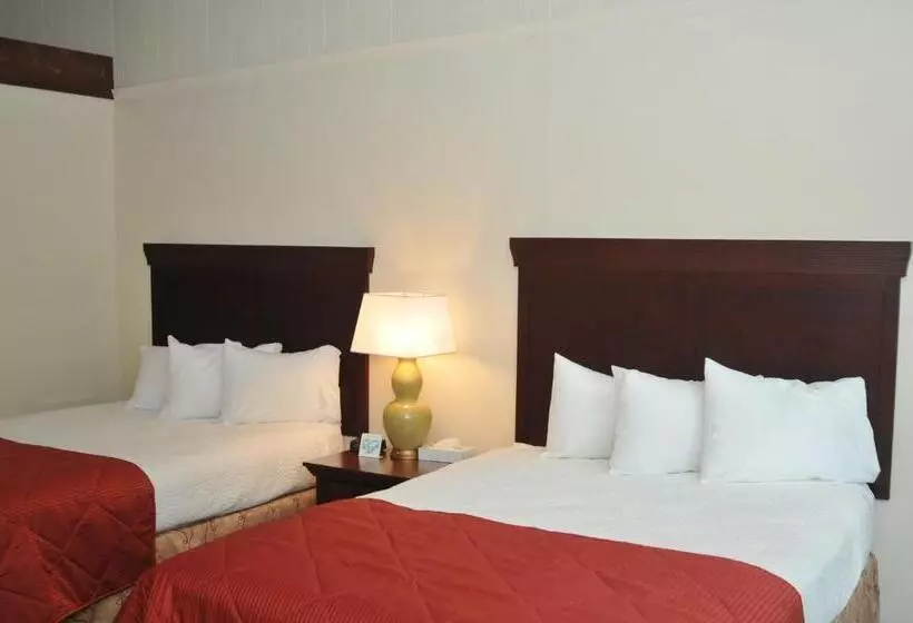 هتل Tea Island Resort