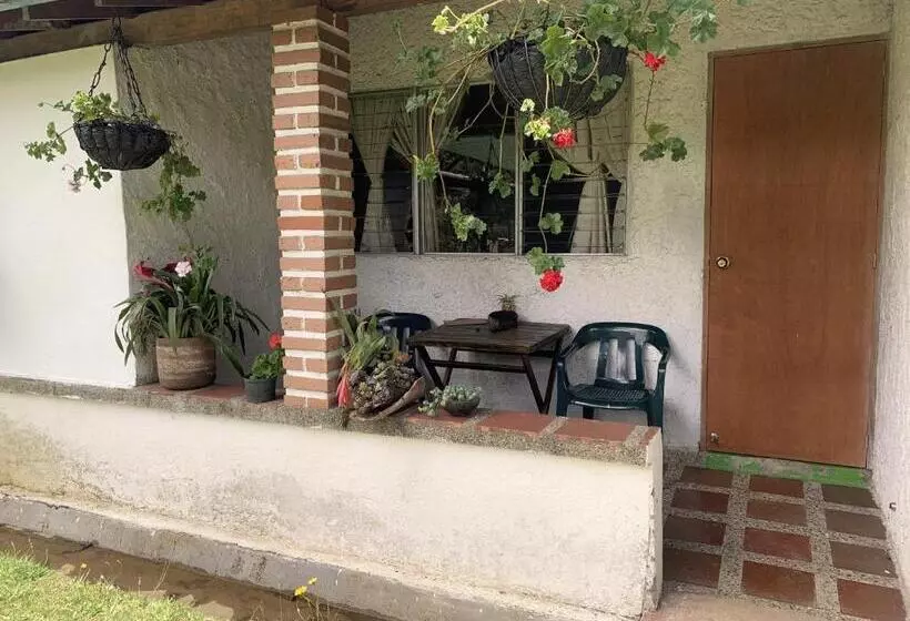 Al Bosque Hostel & Glamping