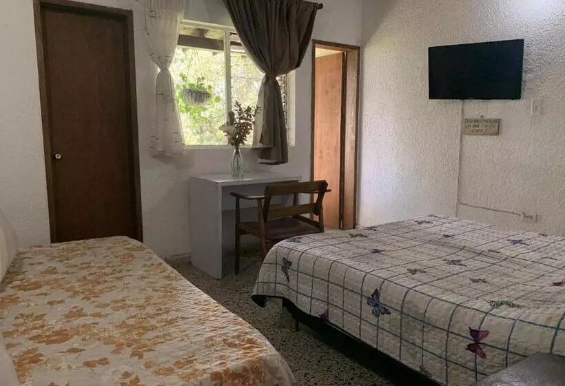 Al Bosque Hostel & Glamping