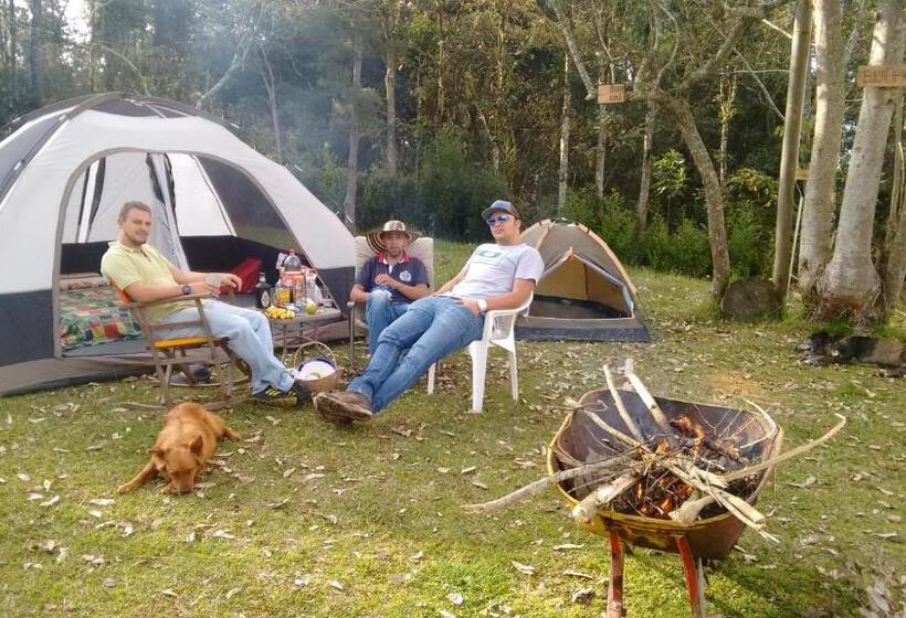 Al Bosque Hostel & Glamping