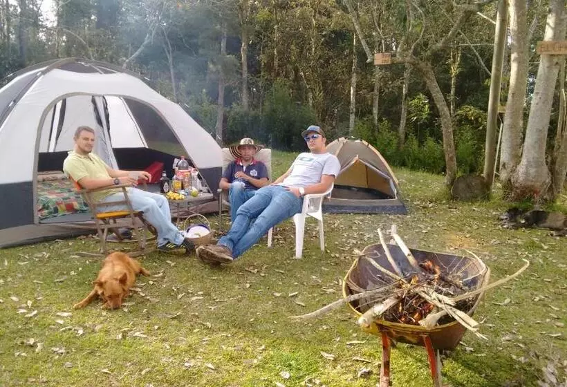Al Bosque Hostel & Glamping