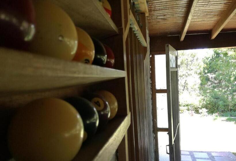 Al Bosque Hostel & Glamping