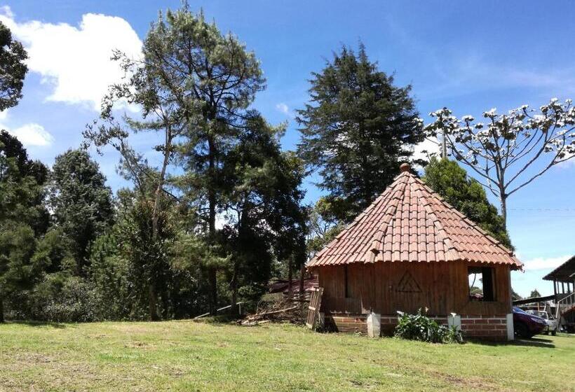 Al Bosque Hostel & Glamping
