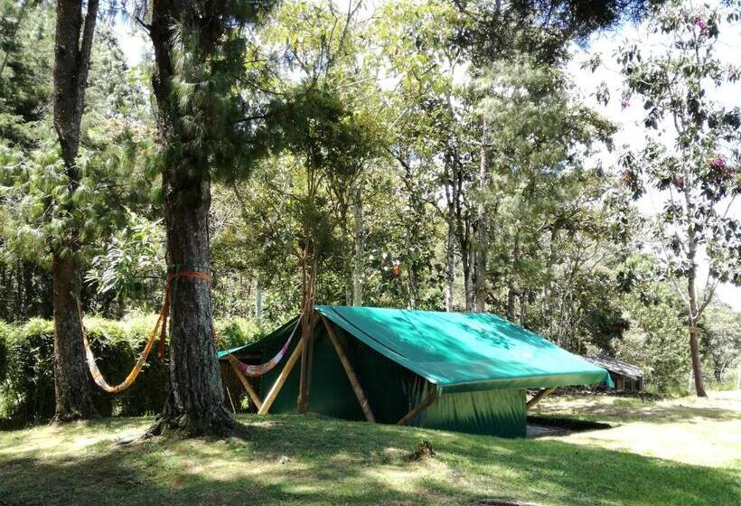 Al Bosque Hostel & Glamping