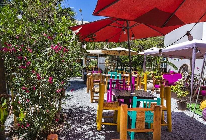 Banana S Adventure Hostel