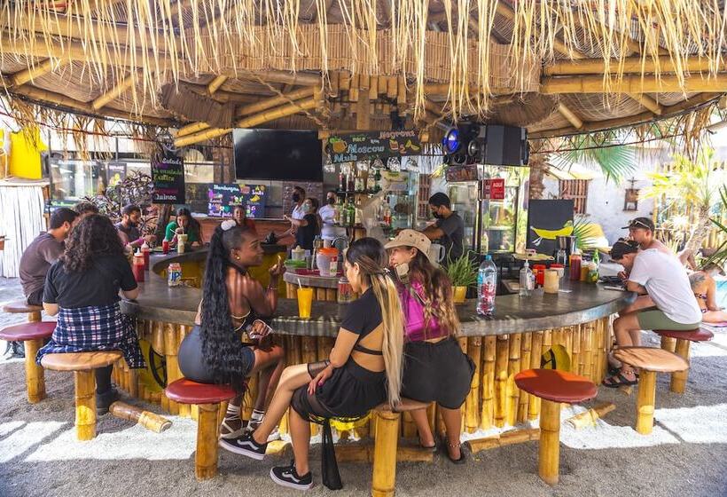 Banana S Adventure Hostel