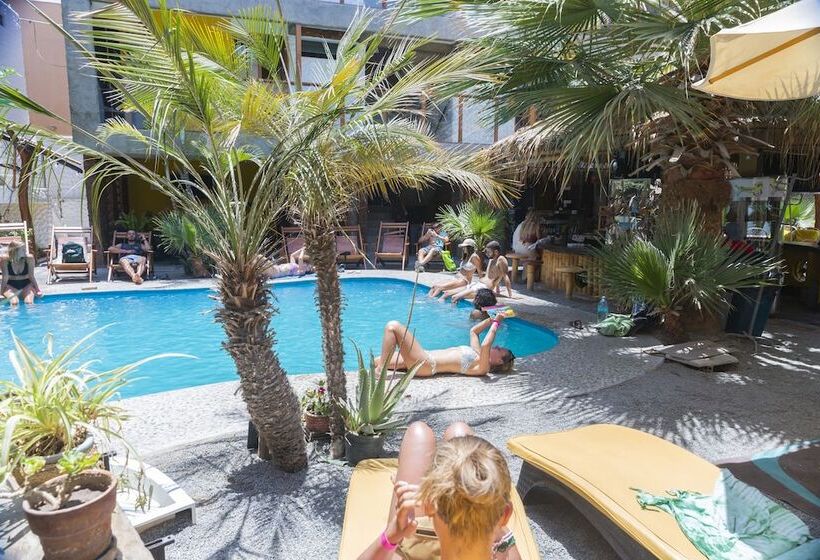 Banana S Adventure Hostel