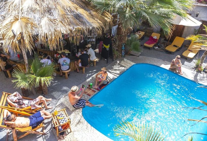 Banana S Adventure Hostel