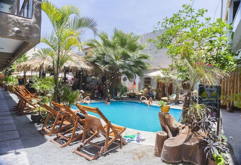 Banana S Adventure Hostel