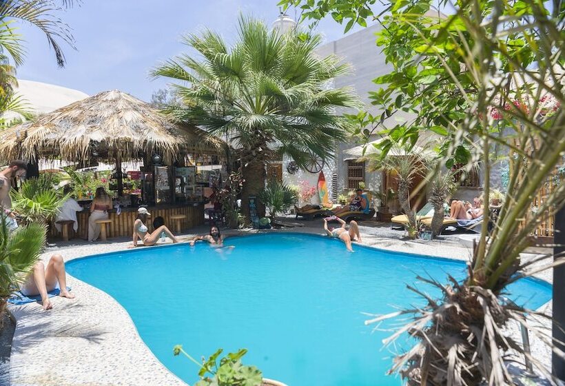 Banana S Adventure Hostel