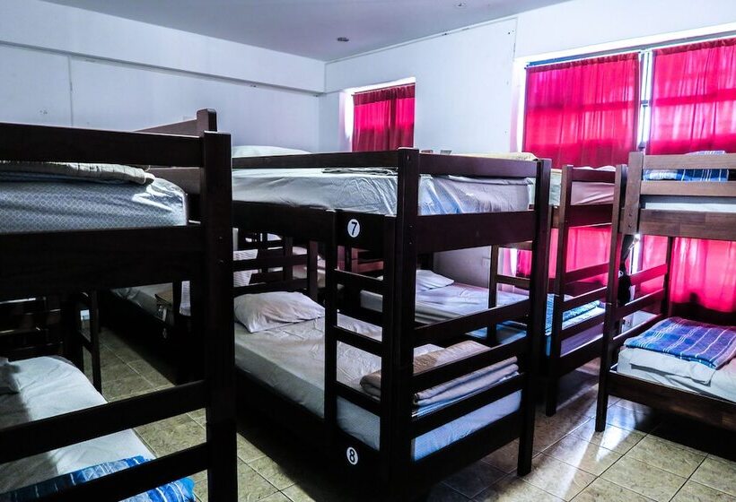 ベッドアンドブレックファースト Ica Adventures Ii