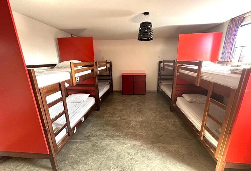 ベッドアンドブレックファースト Ica Adventures Ii