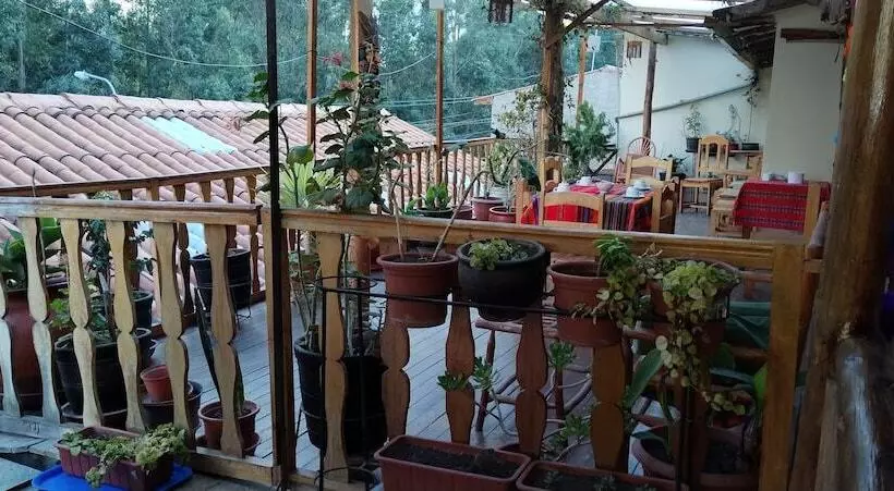 ベッドアンドブレックファースト Ollantaytampu Hostel Patacalle