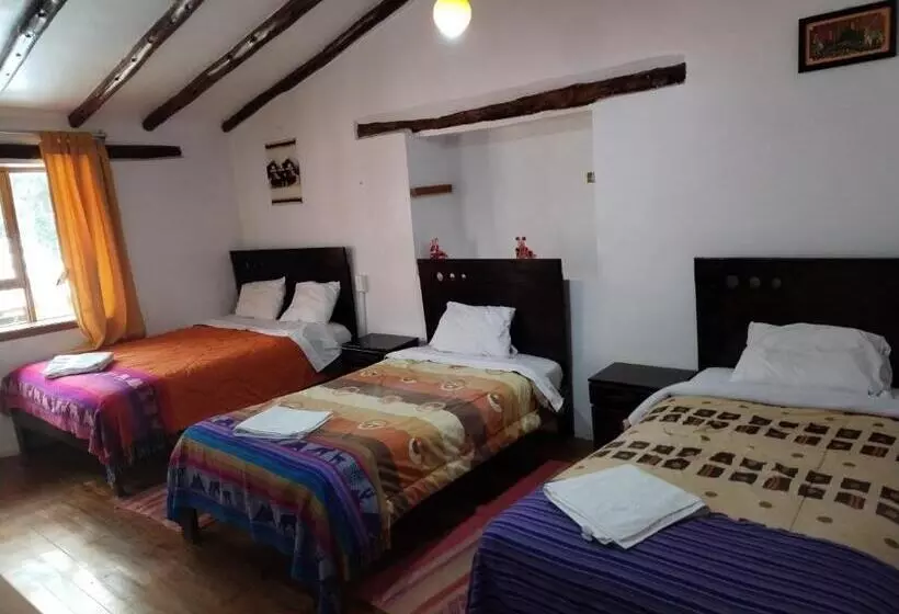 ベッドアンドブレックファースト Ollantaytampu Hostel Patacalle