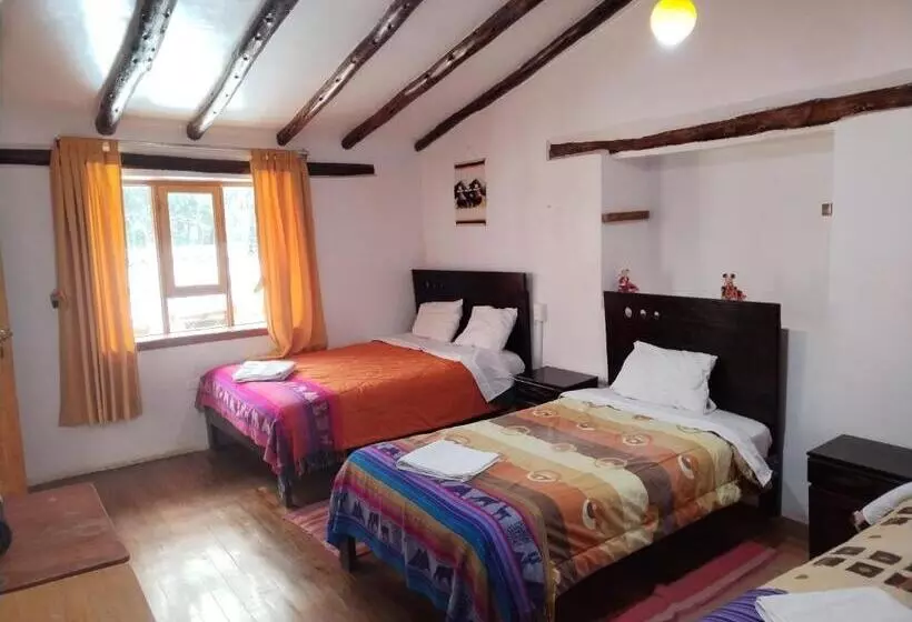 ベッドアンドブレックファースト Ollantaytampu Hostel Patacalle