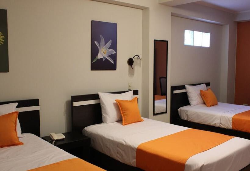 مبيت وإفطار Platinium