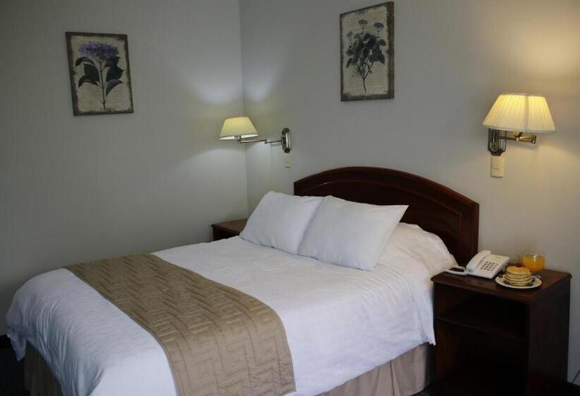 酒店 Presidente Selva