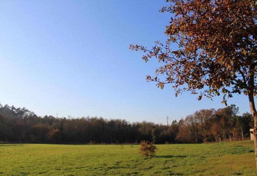 בית מלון כפרי Quinta Do Caminho, Al