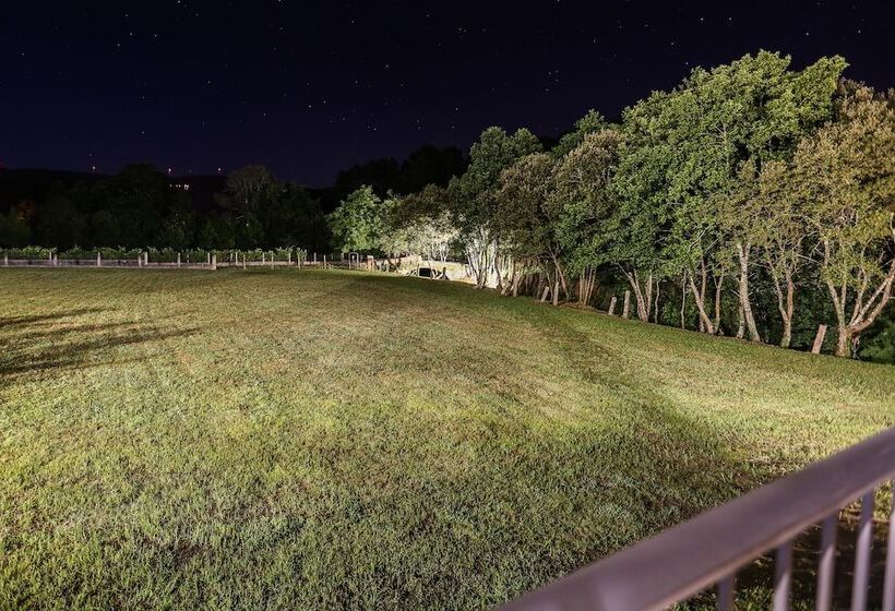 בית מלון כפרי Quinta Do Caminho, Al