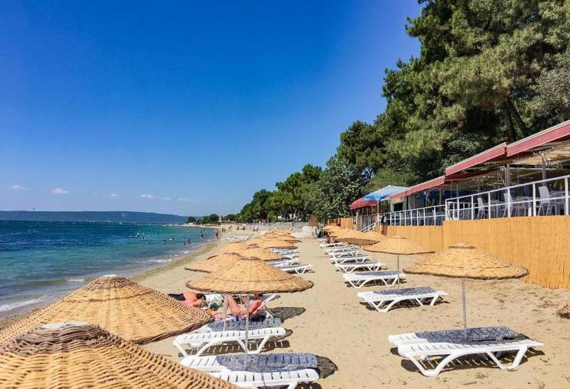 בית מלון כפרי Troia Tusan