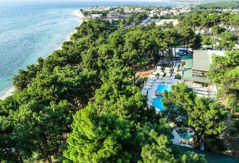 בית מלון כפרי Troia Tusan