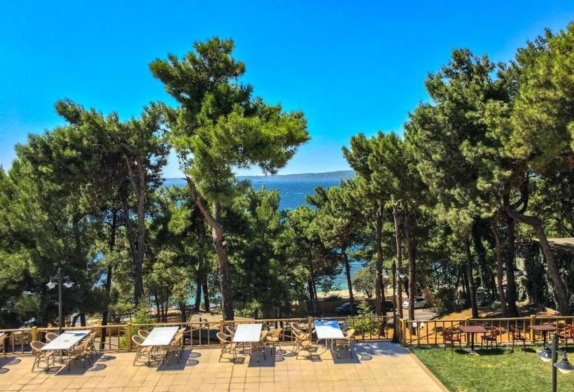 בית מלון כפרי Troia Tusan