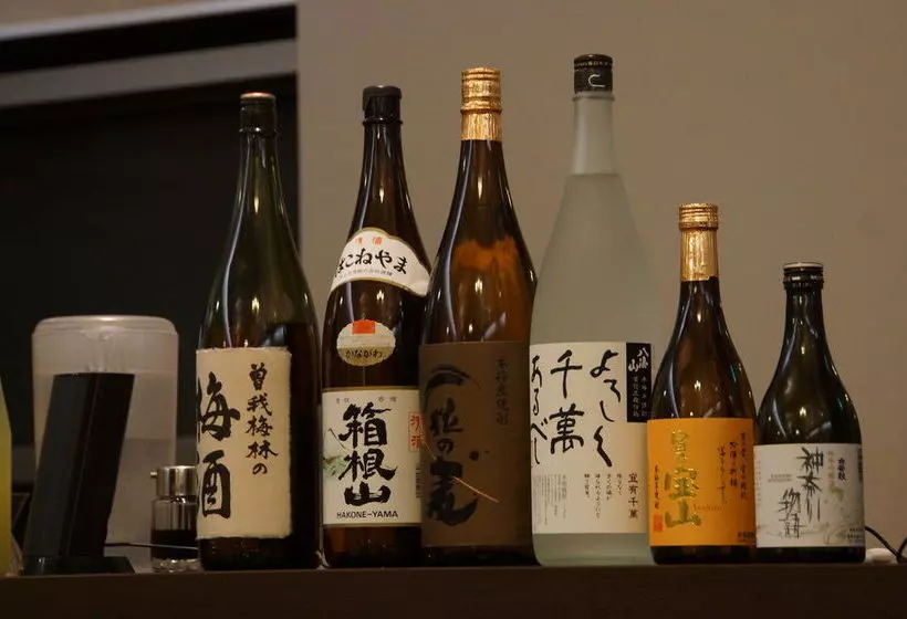 ریوکان Hakone Gora Onsen Yumenoyu