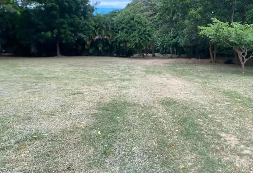 ペンション Cabinas La Casona Del Pirata